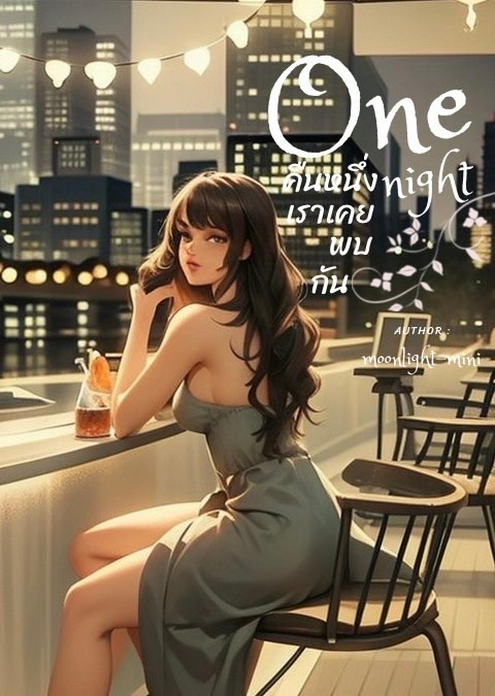 one night คืนหนึ่งเราเคยพบกัน